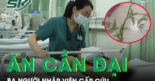 Ăn cần dại ba người nhập viện cấp cứu