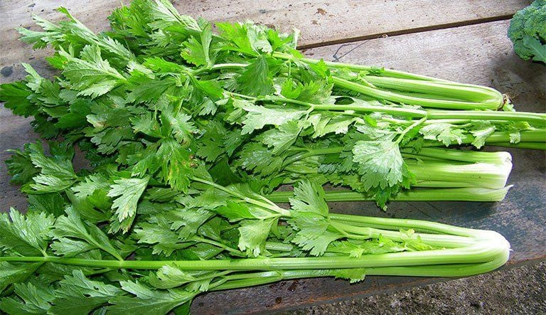 Cách dùng cần tây hỗ trợ giảm axit uric tại nhà: Lợi ích và những điều cần lưu ý- Ảnh 2.