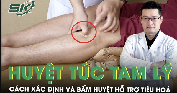 Hướng dẫn cách bấm huyệt túc tam lý hỗ trợ tiêu hóa