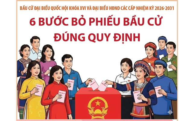 Bầu cử Quốc hội và HĐND: 6 bước bỏ phiếu bầu cử đúng quy định