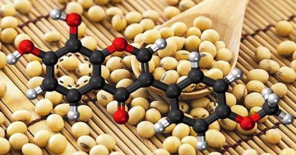 Isoflavone và hành trình trở thành lựa chọn của hàng triệu phụ nữ trong chăm sóc nội tiết tố