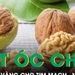 Hạt óc chó lá chắn vàng cho tim mạch, não bộ