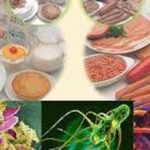 Bộ Y tế yêu cầu truy xuất nguồn gốc thực phẩm vụ hơn 40 học sinh nghi ngộ độc ở Cà Mau
