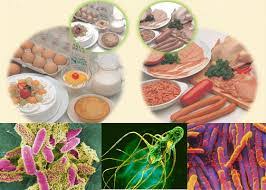 Bộ Y tế yêu cầu truy xuất nguồn gốc thực phẩm vụ hơn 40 học sinh nghi ngộ độc ở Cà Mau- Ảnh 1.