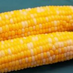 Điều bạn cần biết khi ăn ngô luộc buổi sáng để giảm cân