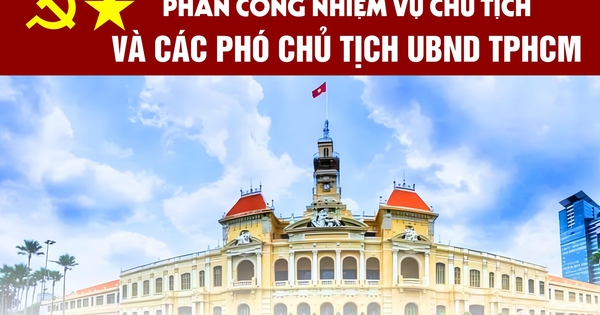 [Infographic] Phân công nhiệm vụ Chủ tịch và các Phó Chủ tịch UBND TPHCM nhiệm kỳ mới