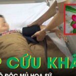 Ngộ độc mủ hoa sứ, 2 trẻ nhập viện cấp cứu