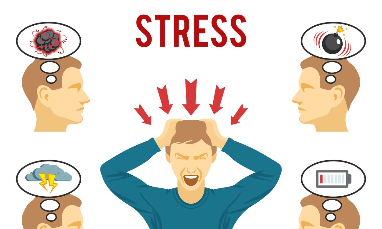Sống 'an yên’: Cách hỗ trợ kiểm soát cortisol và bảo vệ sức khỏe- Ảnh 1.