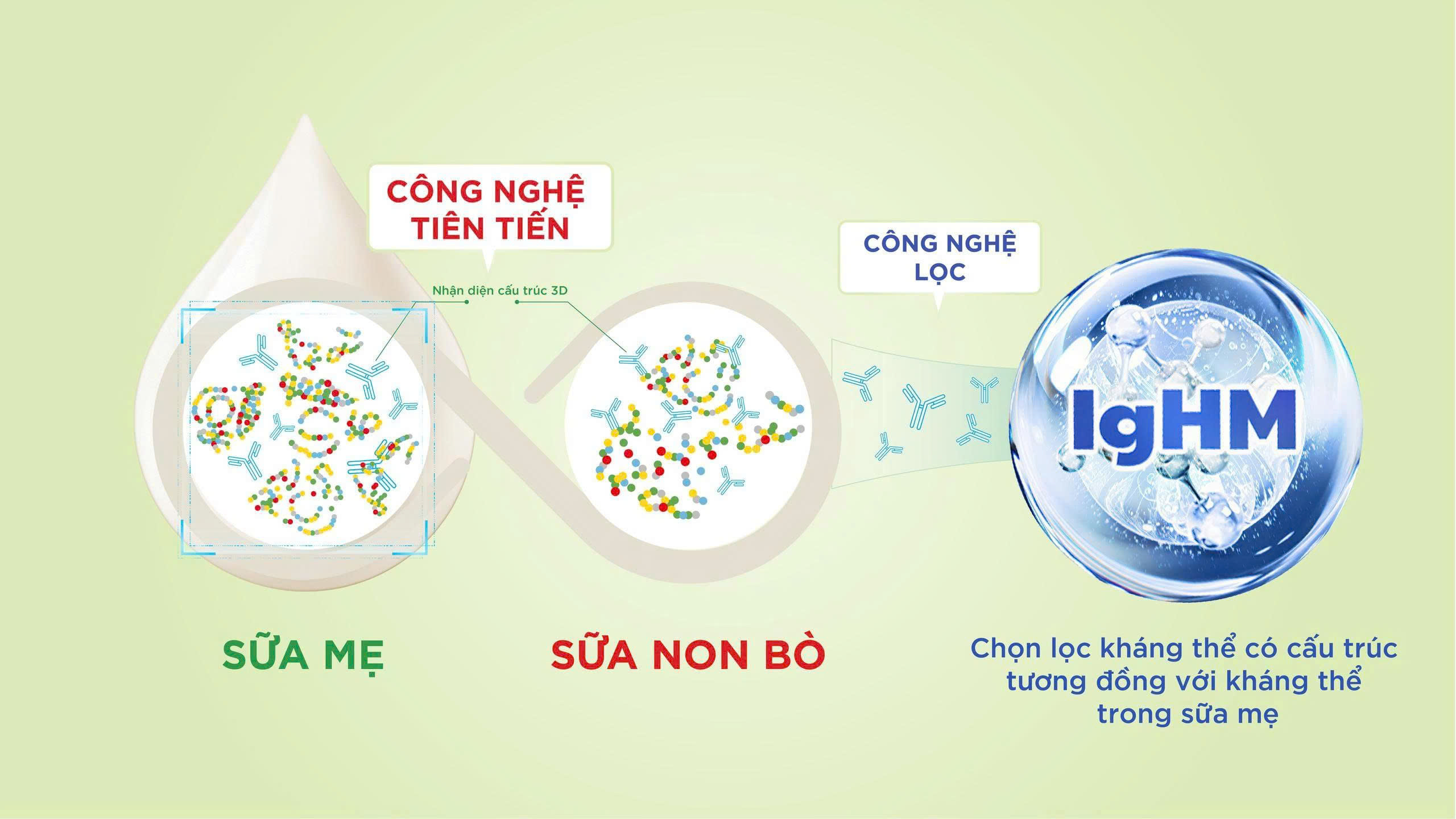 IgHM - hướng tiếp cận mới trong dinh dưỡng miễn dịch- Ảnh 1. IgHM - hướng tiếp cận mới trong dinh dưỡng miễn dịch- Ảnh 1.