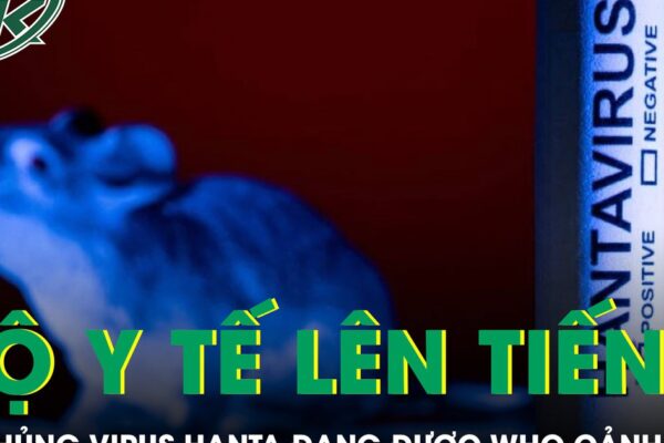 Bộ Y tế thông tin về chủng virus Hanta đang được WHO cảnh báo