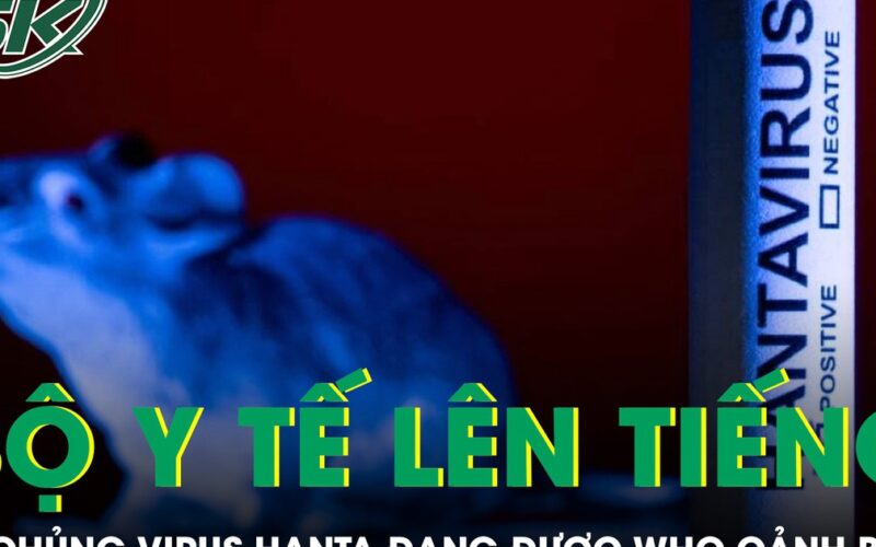 Bộ Y tế thông tin về chủng virus Hanta đang được WHO cảnh báo