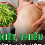 Người đàn ông không thể đi lại sau 15 năm uống đinh lăng, lá lốt trị xương khớp