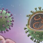 Cảnh giác nguy cơ nhiễm virus Hanta từ thực phẩm bị chuột xâm nhập