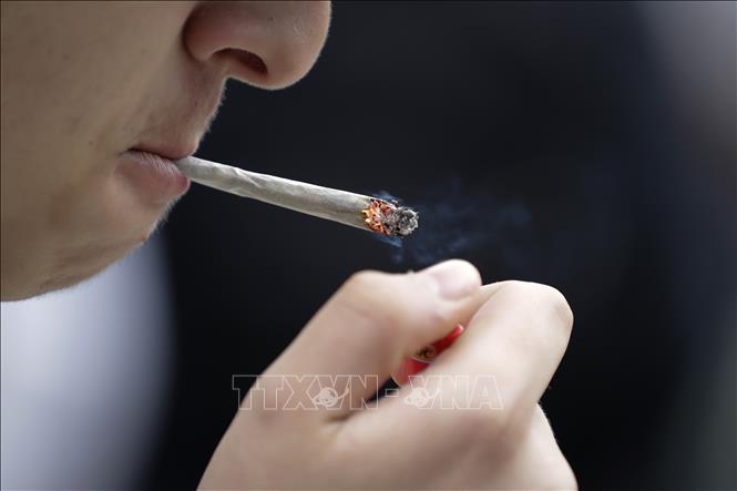 Anh cấm hút thuốc vĩnh viễn đối với người sinh sau ngày 1/1/2009- Ảnh 1.