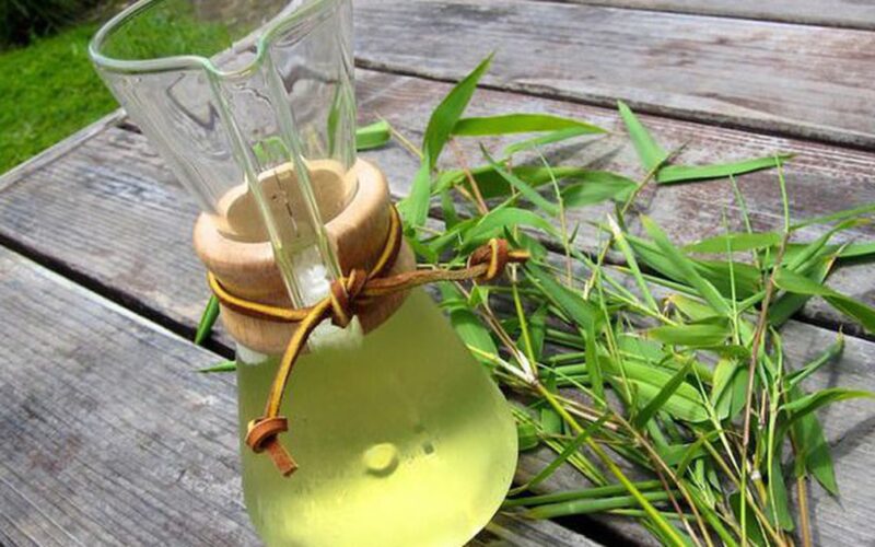 Bài thuốc chữa bệnh từ lá tre
