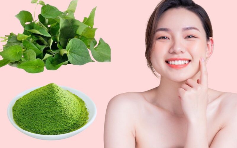 Cách dùng rau diếp cá tốt cho da mụn