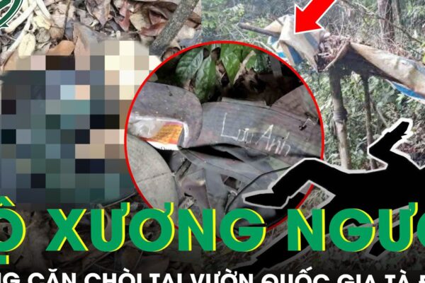 Phát hiện bộ xương người trong căn chòi tại Vườn Quốc gia Tà Đùng với bí ẩn dòng chữ trên cổ áo