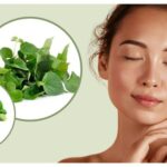 Rau má có hỗ trợ trị mụn trứng cá không?