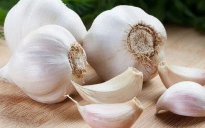 6 loại thực phẩm giúp giảm đau khớp, viêm khớp và phục hồi sụn khớp
