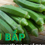 Loại quả dân dã được ví như “nhân sâm xanh” tốt cho tim, hỗ trợ ngừa ung thư