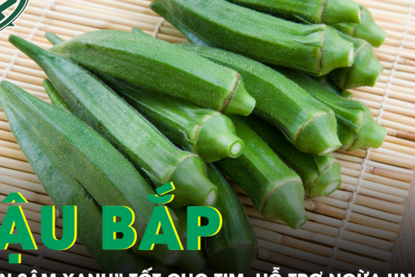 Loại quả dân dã được ví như “nhân sâm xanh” tốt cho tim, hỗ trợ ngừa ung thư