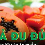 5 nhóm người được khuyên ăn nhiều đu đủ để tăng đề kháng và hỗ trợ tiêu hóa