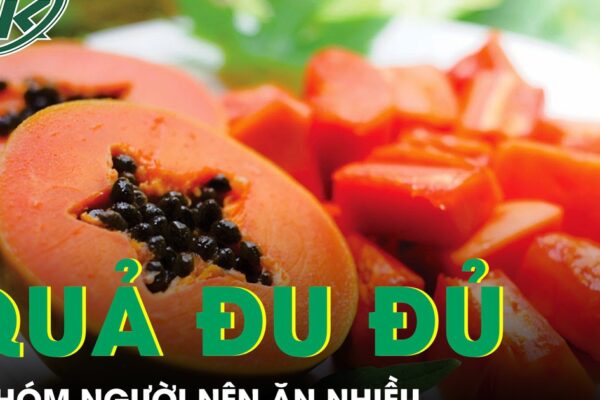 5 nhóm người được khuyên ăn nhiều đu đủ để tăng đề kháng và hỗ trợ tiêu hóa