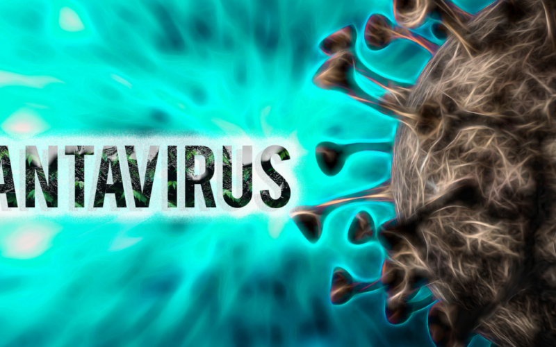 Bộ Y tế lên tiếng về virus Hanta sau chùm ca tử vong trên tàu du lịch nước ngoài