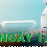 HPV chính thức được đưa vào danh mục tiêm chủng bắt buộc từ 1/7/2026