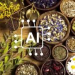 AI mở đường cho y học cổ truyền bước vào kỷ nguyên số