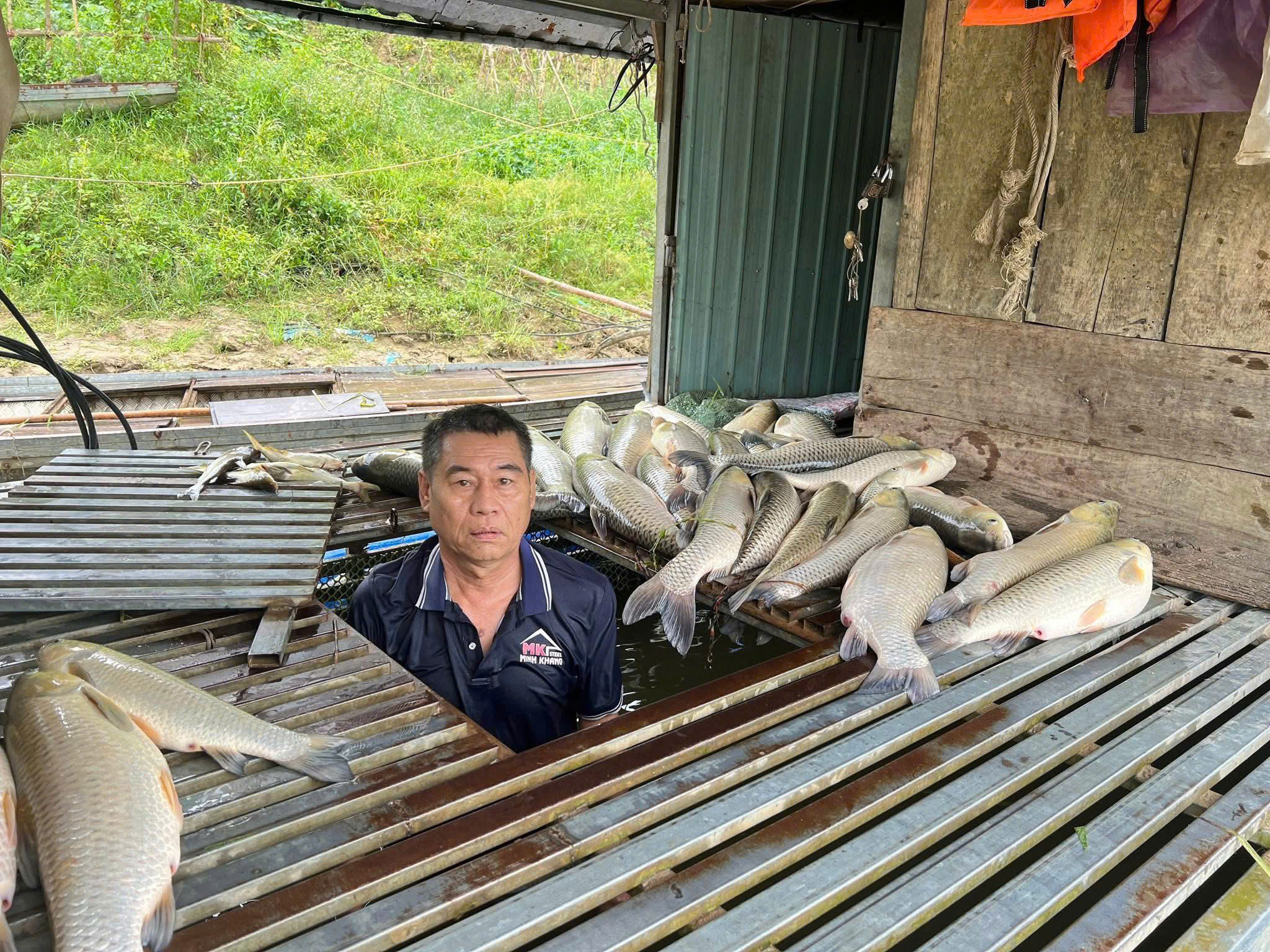 ca-long-be-chet-bat-thuong-tren-song-lam-x-de-nghi-tinh-tim-nguyen-nhan-17778901937201702714679 Cá lồng bè chết bất thường trên sông Lam, xã đề nghị tỉnh tìm nguyên nhân- Ảnh 1.