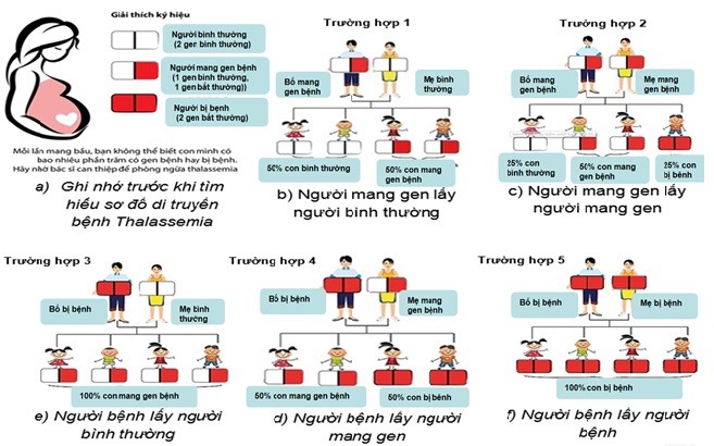 Ngày Thalassemia Thế giới (8/5): Nhiều người mang gen bệnh mà không biết- Ảnh 2.