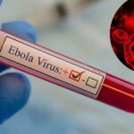 TPHCM tăng cường giám sát trước nguy cơ dịch Ebola xâm nhập
