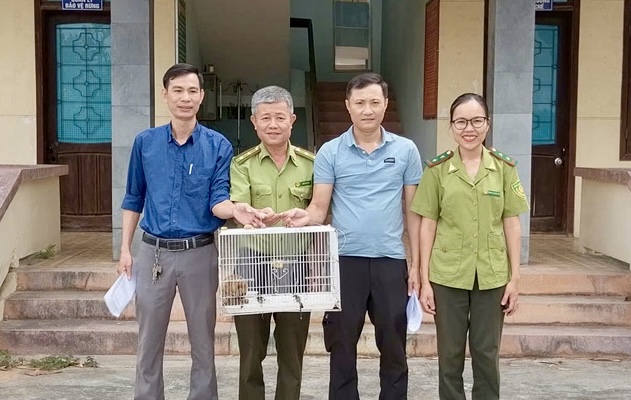 Phát hiện cá thể linh trưởng quý hiếm có 'vũ khí đặc biệt' trong cơ quan- Ảnh 1.