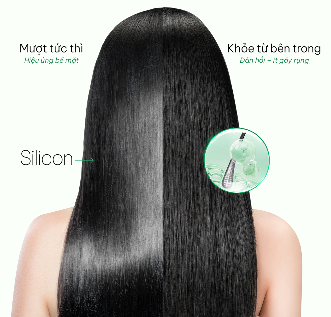 picture1-1779956496163543215353 Tóc mượt 'tức thì' hay dày khỏe lâu dài: Sự thật về chứng rụng tóc từ thói quen gội đầu- Ảnh 1.