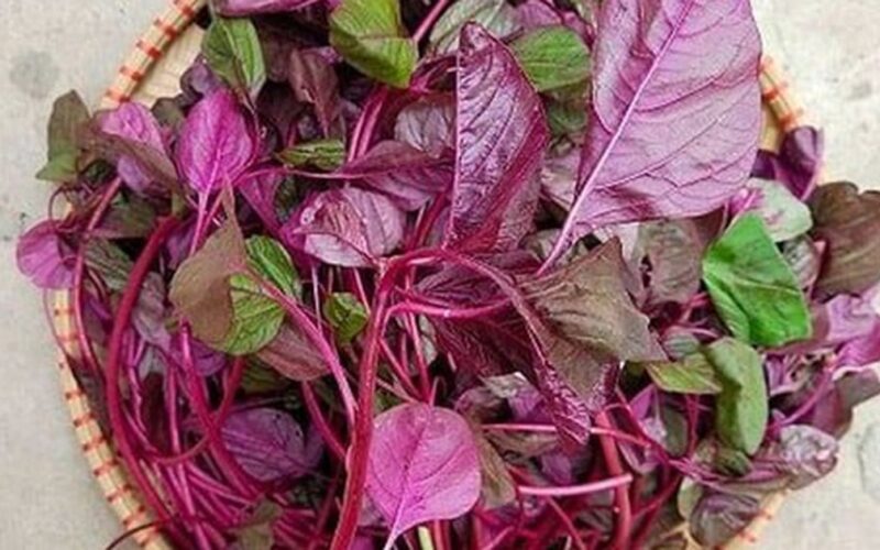 5 lý do để ăn rau dền ngay hôm nay