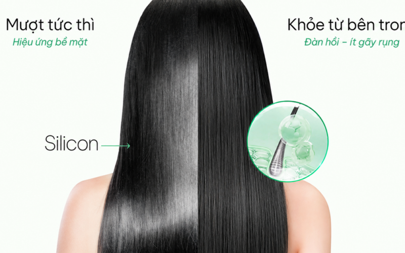 Tóc mượt ‘tức thì’ hay dày khỏe lâu dài: Sự thật về chứng rụng tóc từ thói quen gội đầu