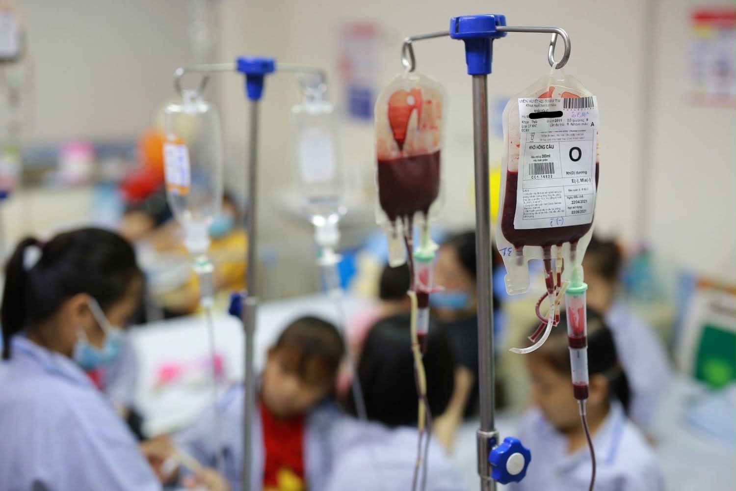 Ngày Thalassemia Thế giới (8/5): Nhiều người mang gen bệnh mà không biết- Ảnh 1.