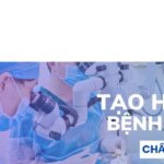 20 năm khoa Phẫu thuật tạo hình, Bệnh viện Xanh Pôn: Chữa lành khuyết hổng, rẽ hướng hàng vạn cuộc đời khiếm khuyết