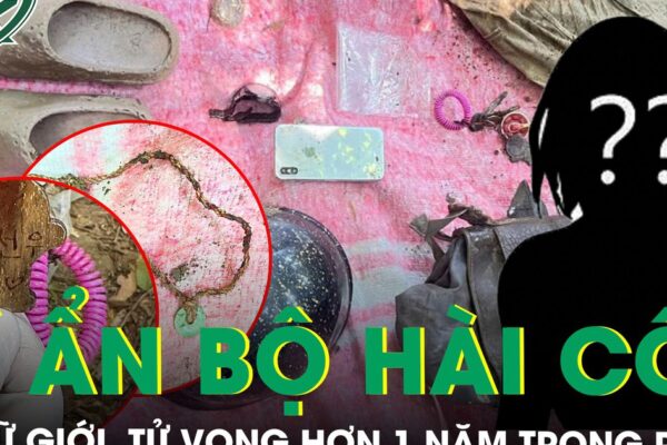 Bí ẩn bộ hài cốt trong rừng Sơn Trà: Nữ giới tử vong hơn 1 năm, không giấy tờ