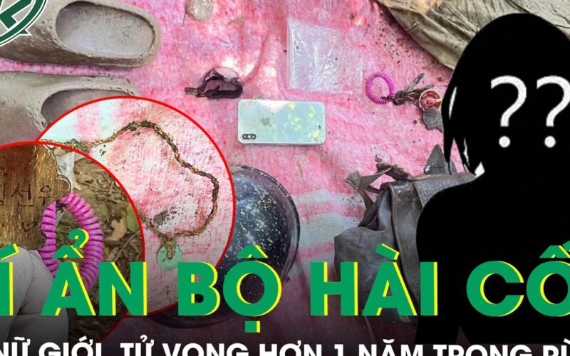Bí ẩn bộ hài cốt trong rừng Sơn Trà: Nữ giới tử vong hơn 1 năm, không giấy tờ