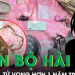 Bí ẩn bộ hài cốt trong rừng Sơn Trà: Nữ giới tử vong hơn 1 năm, không giấy tờ