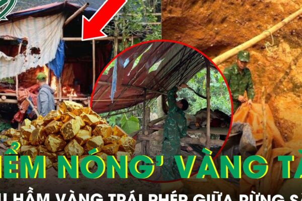 Đột kích ‘điểm nóng’ vàng tặc giữa rừng sâu ở Huế, lộ nhiều hầm vàng trái phép