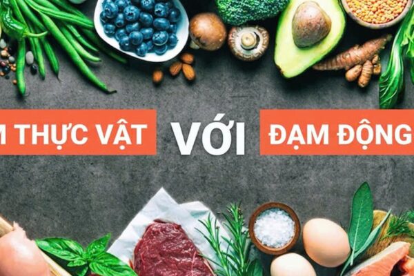 Protein từ động vật hay thực vật tốt hơn cho sức khỏe người cao tuổi?
