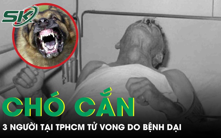 Chó cắn, 3 người tại TPHCM tử vong do bệnh dại
