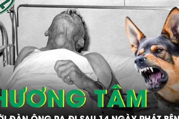 Người đàn ông 72 tuổi ra đi thương tâm sau 14 ngày phát bệnh dại