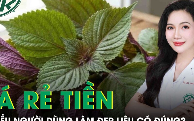 Loại lá rẻ tiền nhiều người dùng để làm đẹp, bác sĩ da liễu nói gì?
