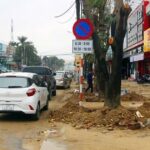 Đề nghị truy tố vắng mặt Chủ tịch công ty cây xanh Công Minh