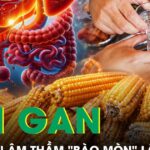 Những thói quen âm thầm “bào mòn” lá gan mỗi ngày