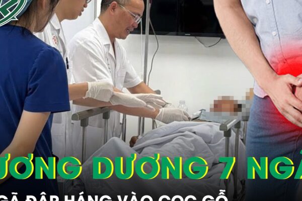 Ngã đập háng vào cọc gỗ, người đàn ông cương dương liên tục suốt 7 ngày